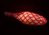 Fish Trap by William Morris