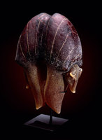 Animal Artifact by William Morris