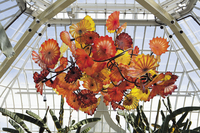 Persian Chandelier by Dale Chihuly