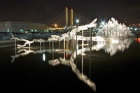 Installation by Martin Blank