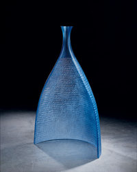 Blue Revealed 2008 by Daniel Clayman