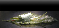 Inochi series by Mary Van Cline