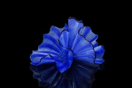 Blue Ridge Persian, 2024 Studio Edition© 2024 Chihuly Studio