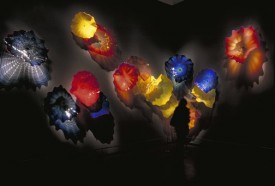 Dale Chihuly : Installations
