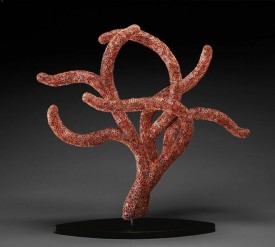 Red Polyp: 2007 soft form