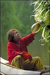 Dale Chihuly